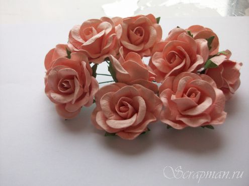Открытые розы, цвет персик, 3,5 см