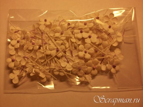 Декоративные цветочки на нитке, цвет "Белый", центр фиолетовый, 1,2см от магазина ScrapMan.ru