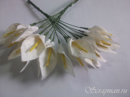 Цветы каллы на стебле, цвет "Белый" от магазина ScrapMan.ru