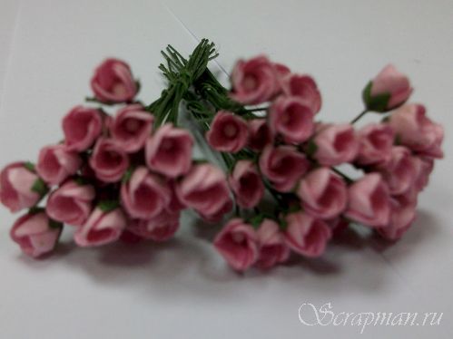 Тюльпан, цвет "Розовый", 0,5см