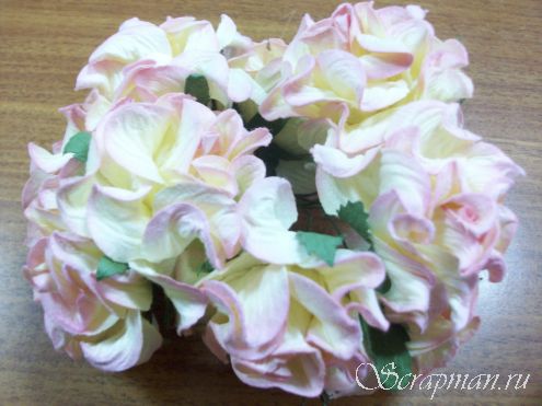 Кудрявая роза, бледно-желтая с розовыми кончиками, 5,5см