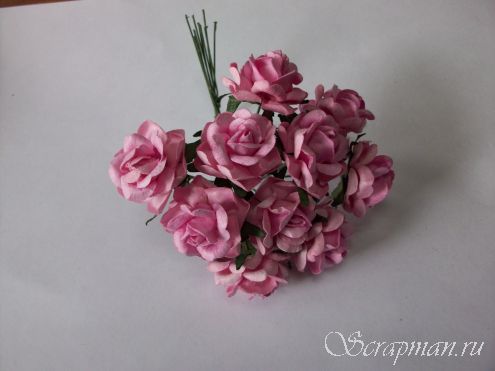 Роза открытая, цвет "Светло-розовый", 2см от магазина ScrapMan.ru