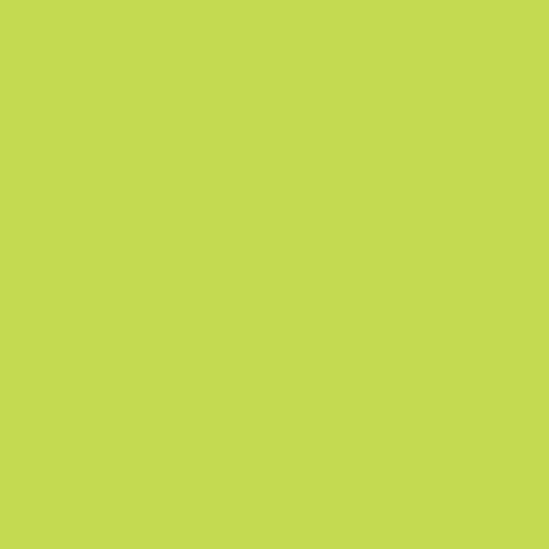 Бумага "IQ color" Зеленая липа, 160 гр/м2, формат А4
