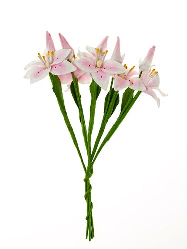 Лилии с бутонами, цвет "Бело-розовый"