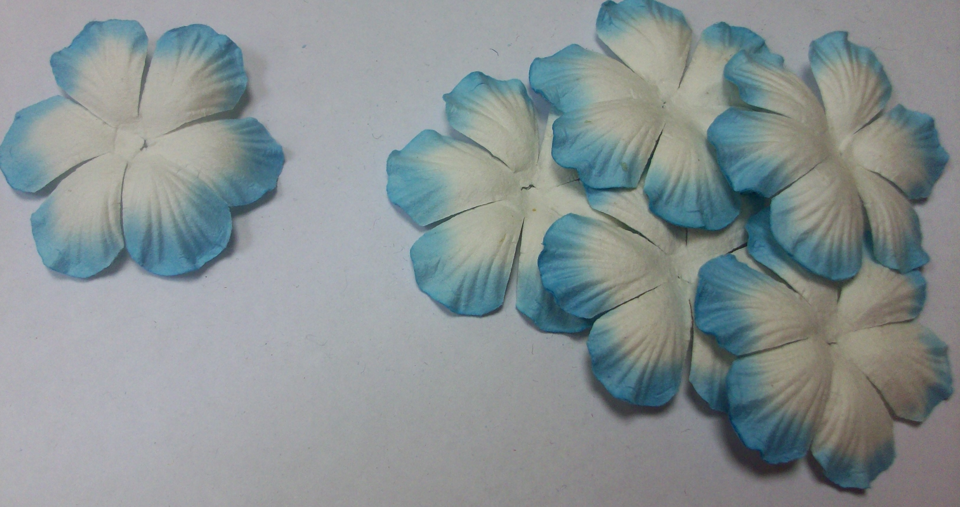 Плоские декоративные цветочки, белые с голубыми кончиками