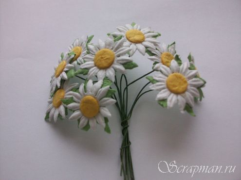 Ромашки, диаметр 2 см