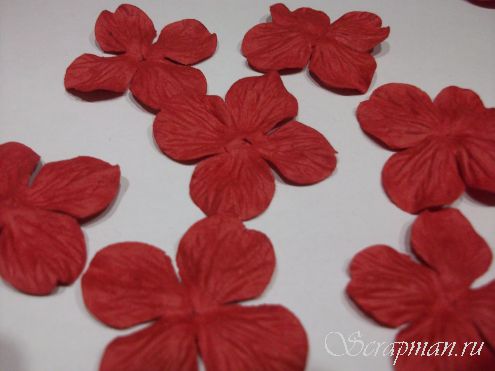 Цветы гортензии, 4 см, цвет "Красный". от магазина ScrapMan.ru