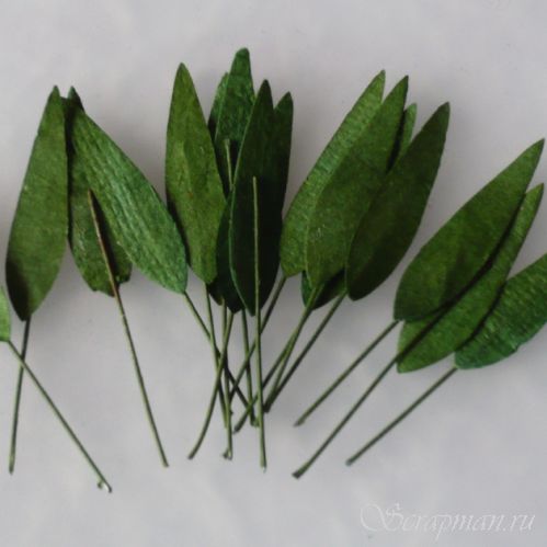 Листья зеленые длинные, 0,8х3см от магазина ScrapMan.ru
