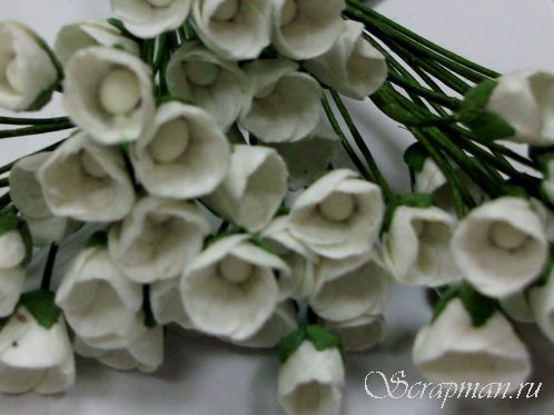 Тюльпан, цвет "Белый", 0,5см от магазина ScrapMan.ru