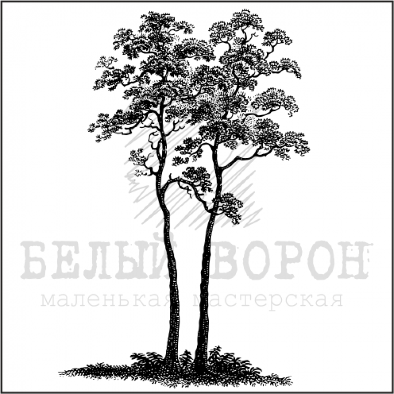 Штамп "Деревца" 