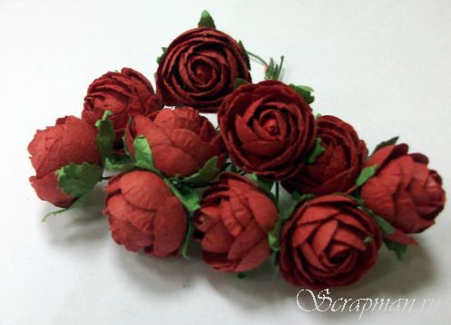 Роза кустовая 2,5 см, цвет красный