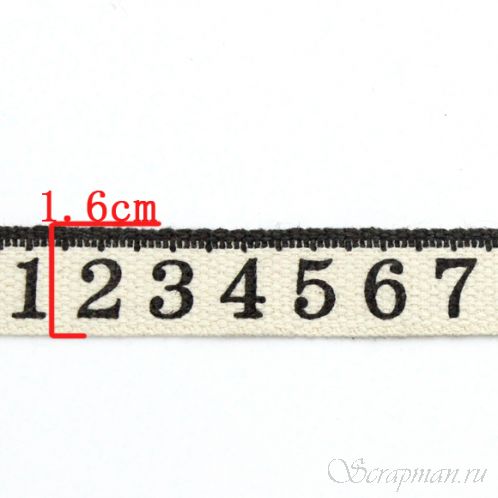 Киперная лента "Линейка", ширина 1,6 см, длина 1м.