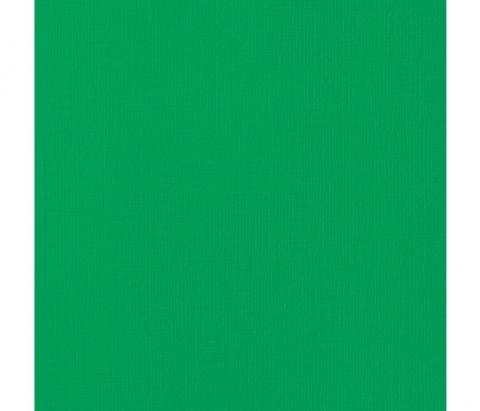 Текстурный кардсток цвет "Emerald" American Crafts