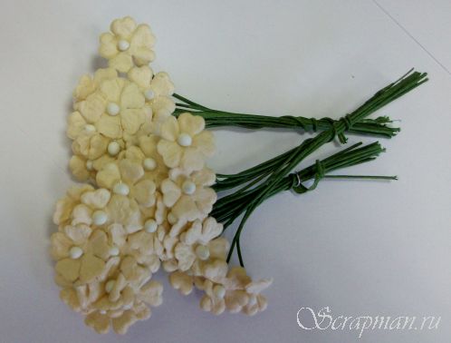 Декоративные цветочки со стеблем, цвет "Бежевый", 1см от магазина ScrapMan.ru