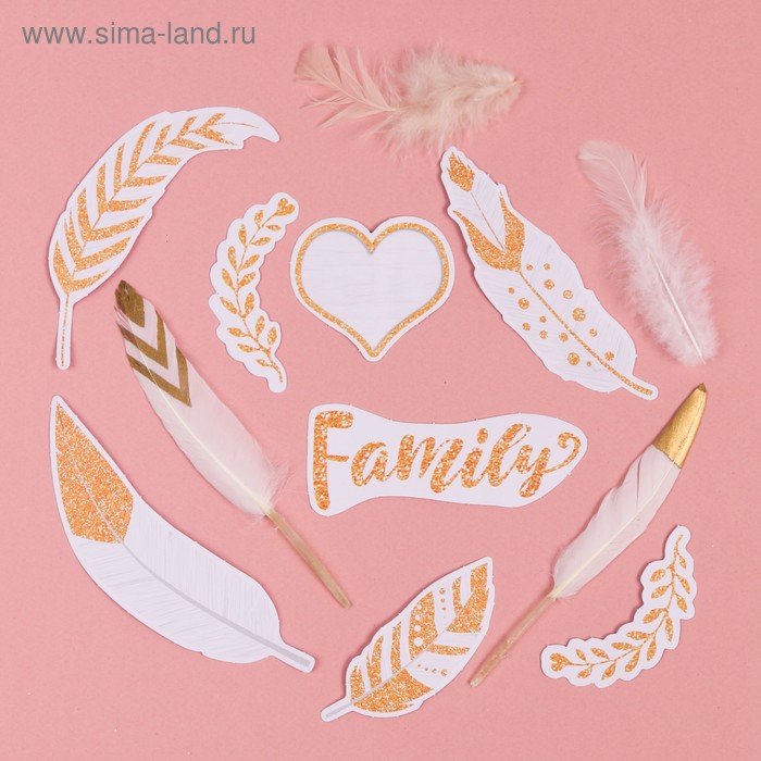 Набор декоративных перьев "My family"