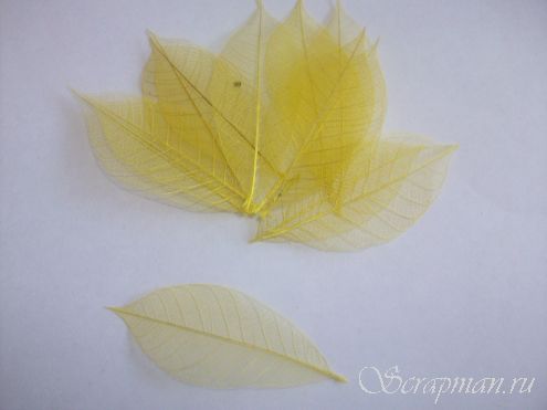 Скелетированные листья, желтые, 7,5x3см от магазина ScrapMan.ru