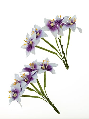 Лилии на стебле, цвет "Фиолетовый с белым"