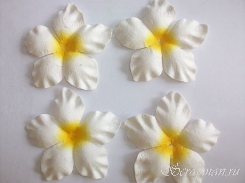 Цветы плоские декоративные, белые с желтой серединой, 53*53 мм. от магазина ScrapMan.ru