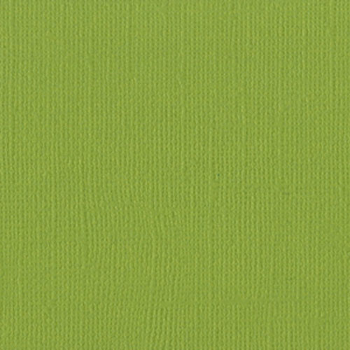 Кардсток однотонный с текстурой "холст" цвет "Parakeet"