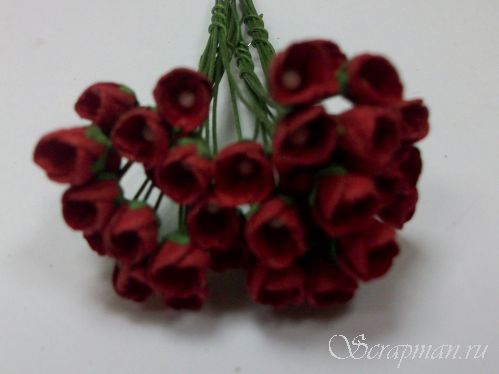 Тюльпан, цвет "Красный", 0,5см