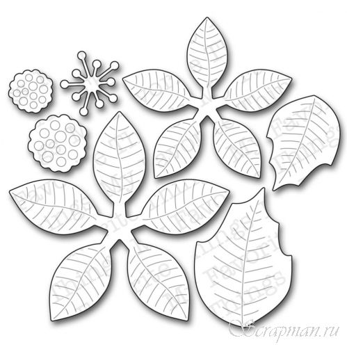 Набор ножей Poinsettia от My Favorite Things