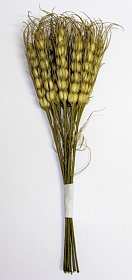 Декоративный букетик "Колоски пшеницы"