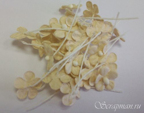 Декоративные цветочки на нитке, цвет "Бежевый", 1см от магазина ScrapMan.ru