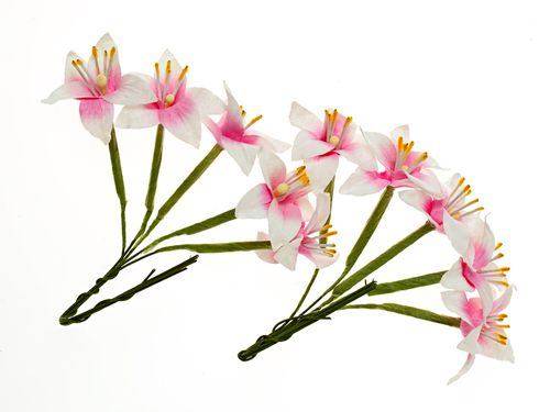 Лилии на стебле, цвет "Бело-розовые"