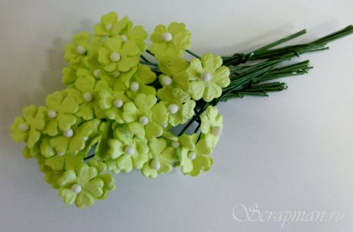 Декоративные цветочки со стеблем, цвет "Салатовый", 1см от магазина ScrapMan.ru