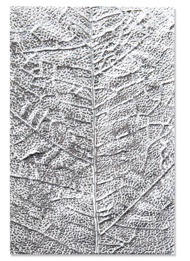 Папка для тиснения 3D "Leaf Veins" от Sizzix