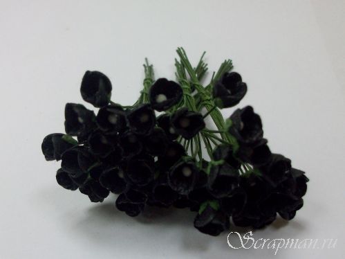 Тюльпан, цвет "Черный", 0,5см