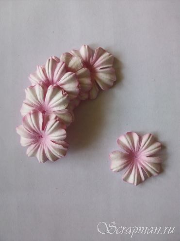 Цветы плоские декоративные, белые с розовыми кончиками и розовой серединой, 36*37 мм.