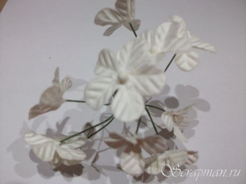 Цветы сливы, цвет белый, 2 см
